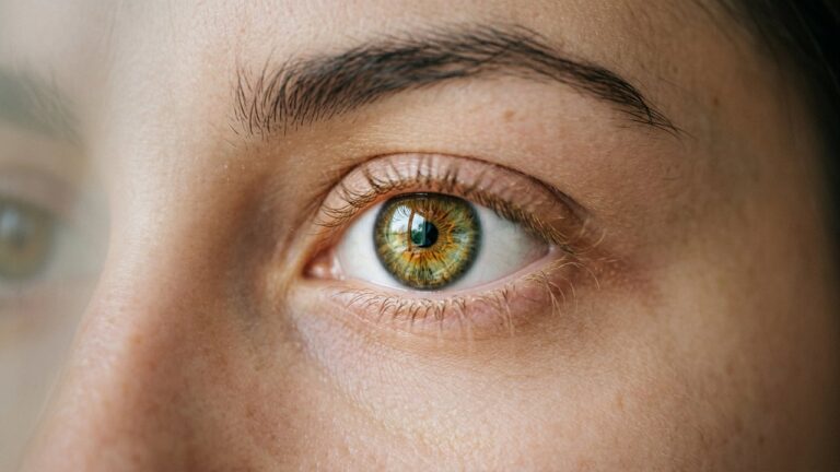 Gros plan sur un oeil hazel présentant des nuances vertes, marron et dorées