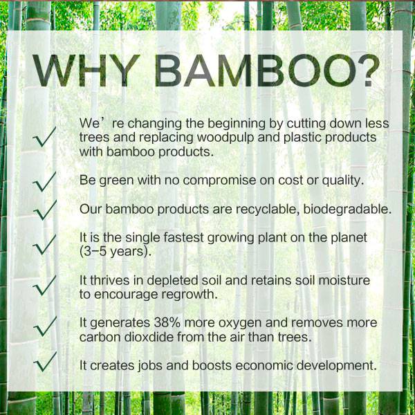 Brosse à dents écologique bambou